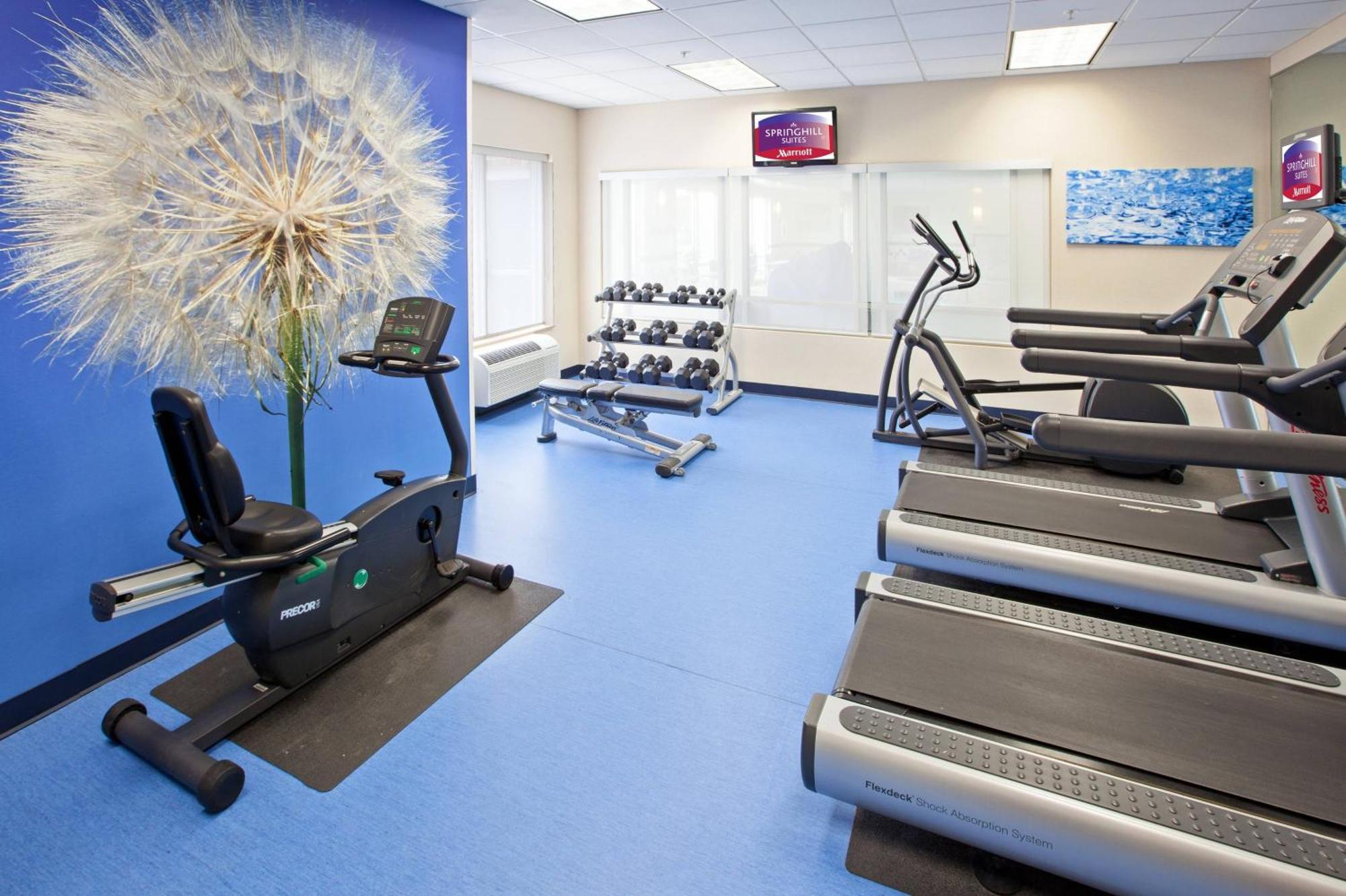Springhill Suites Indianapolis Кармел Экстерьер фото